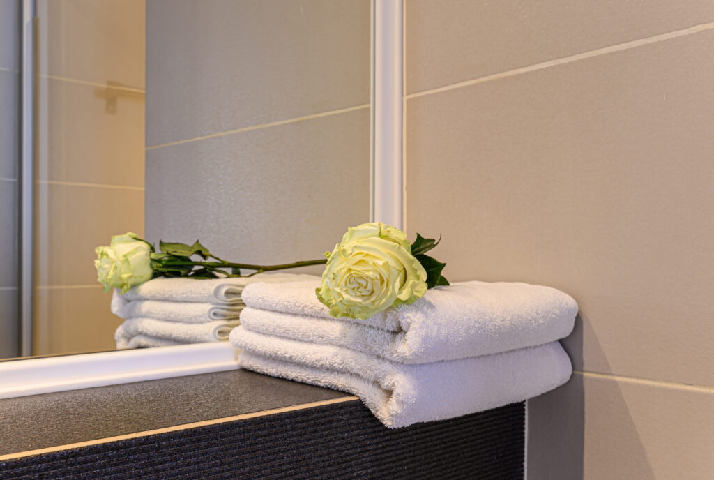 Silver detaliu baie NZ7_5800